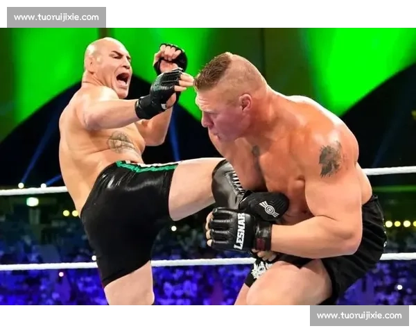 UFC重量级巅峰对决大布迎战凯恩统治时代碰撞历史性生死一战