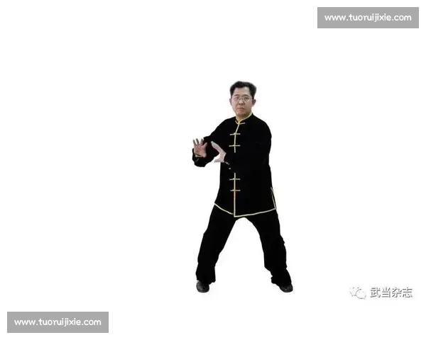 以太极vs现代竞技理念的碰撞融合与文化价值新探讨传承创新发展路径研究