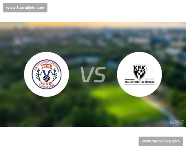 冰岛对阵奥地利欧洲赛场风格碰撞与胜负走向前瞻分析全面解读关键因素